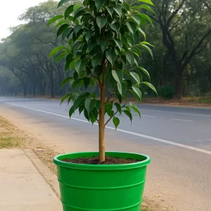 Hilltake Urban Planter Bucket – 250 Ltr | Large | Multipurpose Use